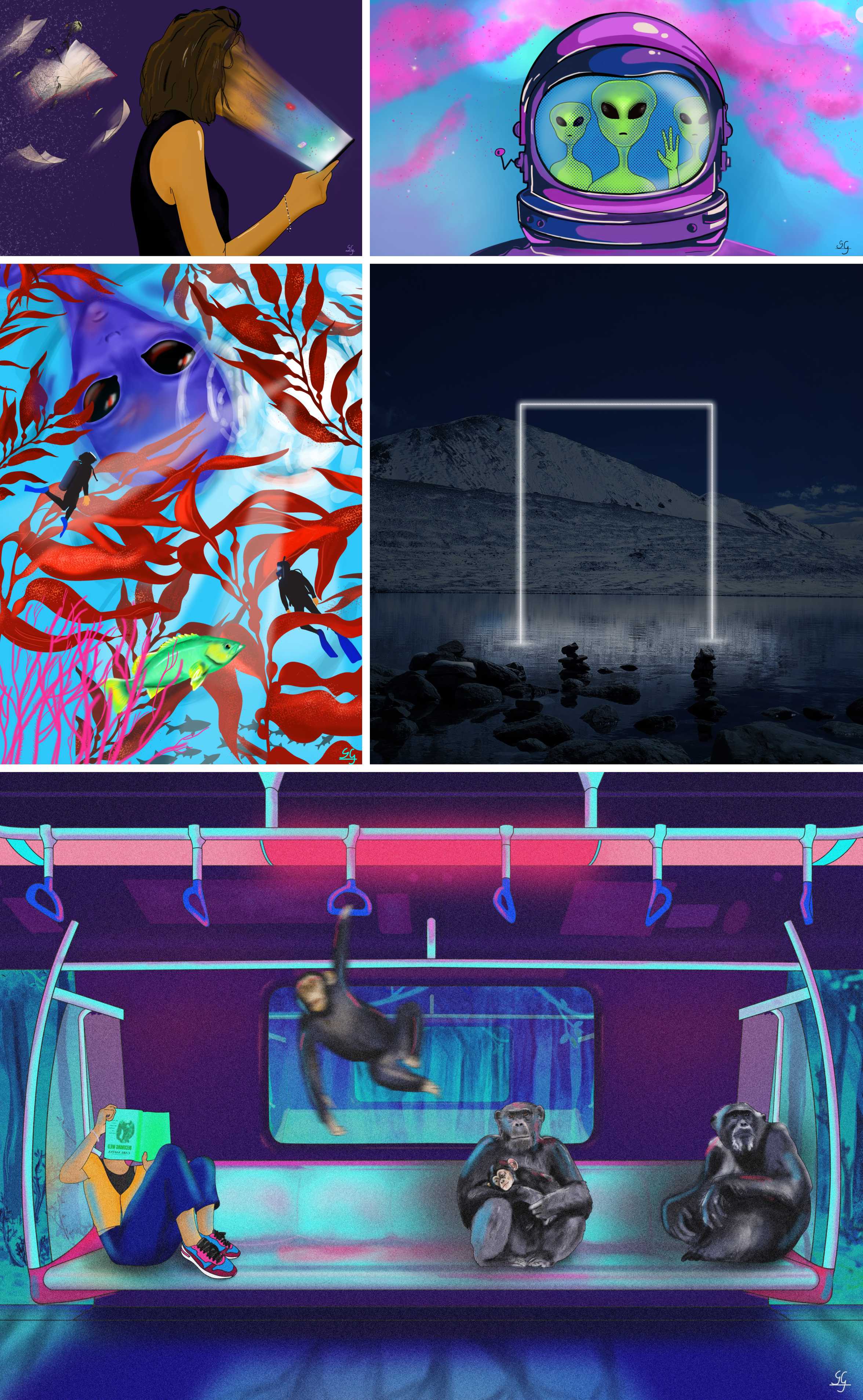 Portfolio Image